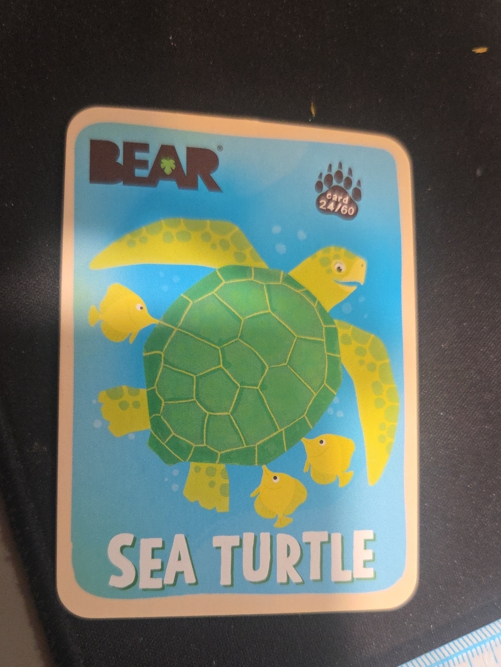 Sea Turtle Trading Card - Green